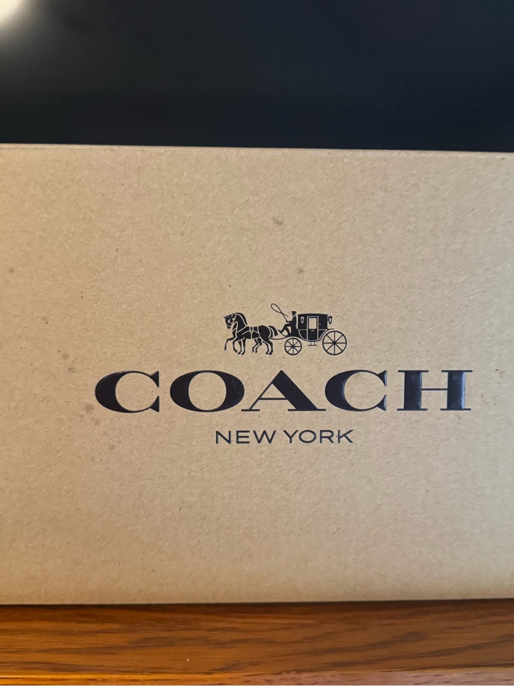 Coach Bryan Women's Thong Sandals with Gold Accent/ color chalk - Picture 9 of 10